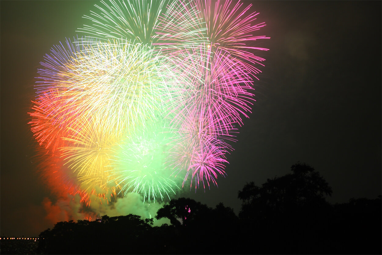 （大台町）千客万来夏まつり_花火①.jpg